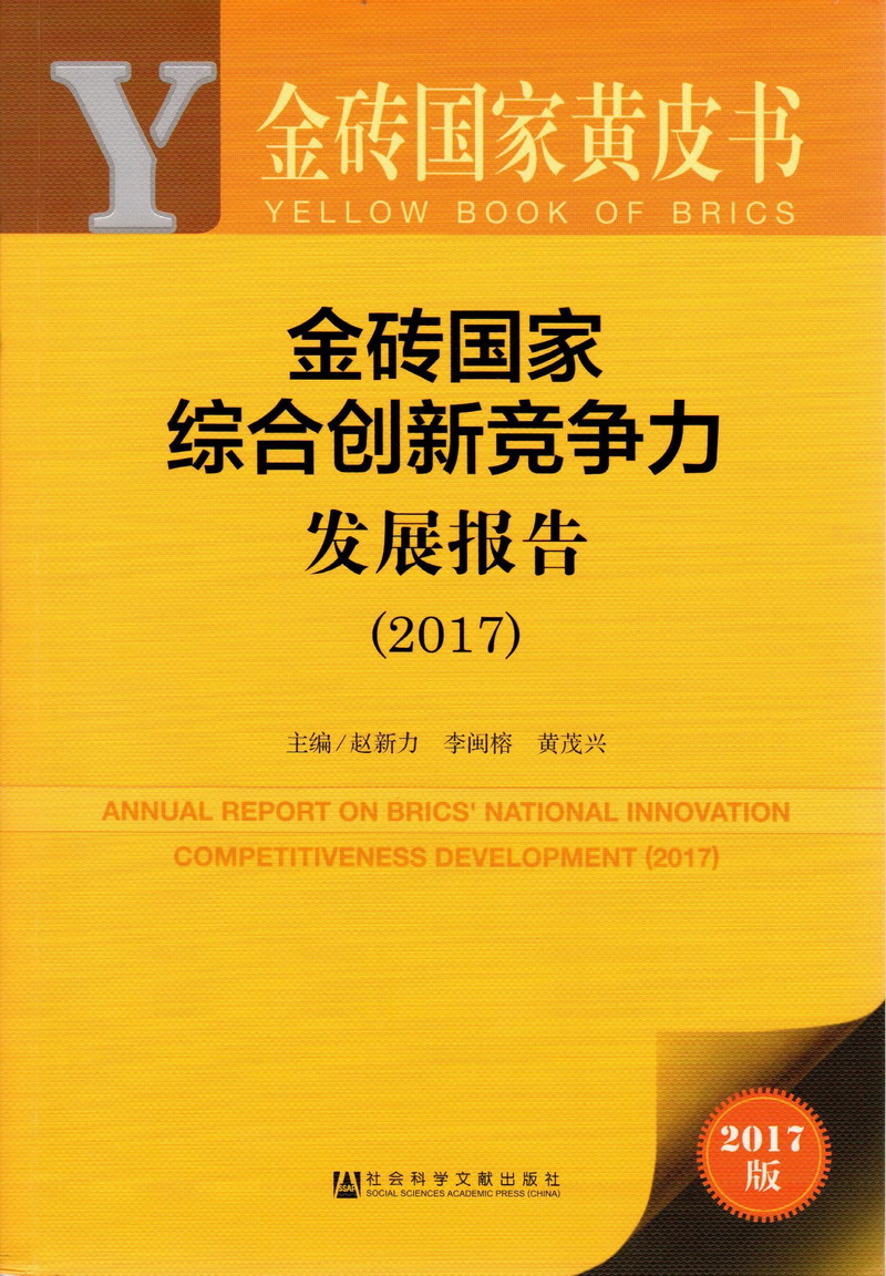 白虎白丝轻点操疼金砖国家综合创新竞争力发展报告（2017）